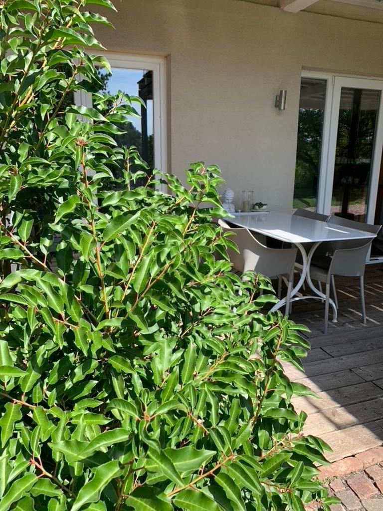 Appartamento Gleisberg3 - Suedliche Weinstrasse Billigheim-Ingenheim Esterno foto